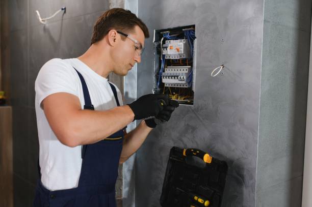 Best Electric Panel Repair  in Duquesne, MO